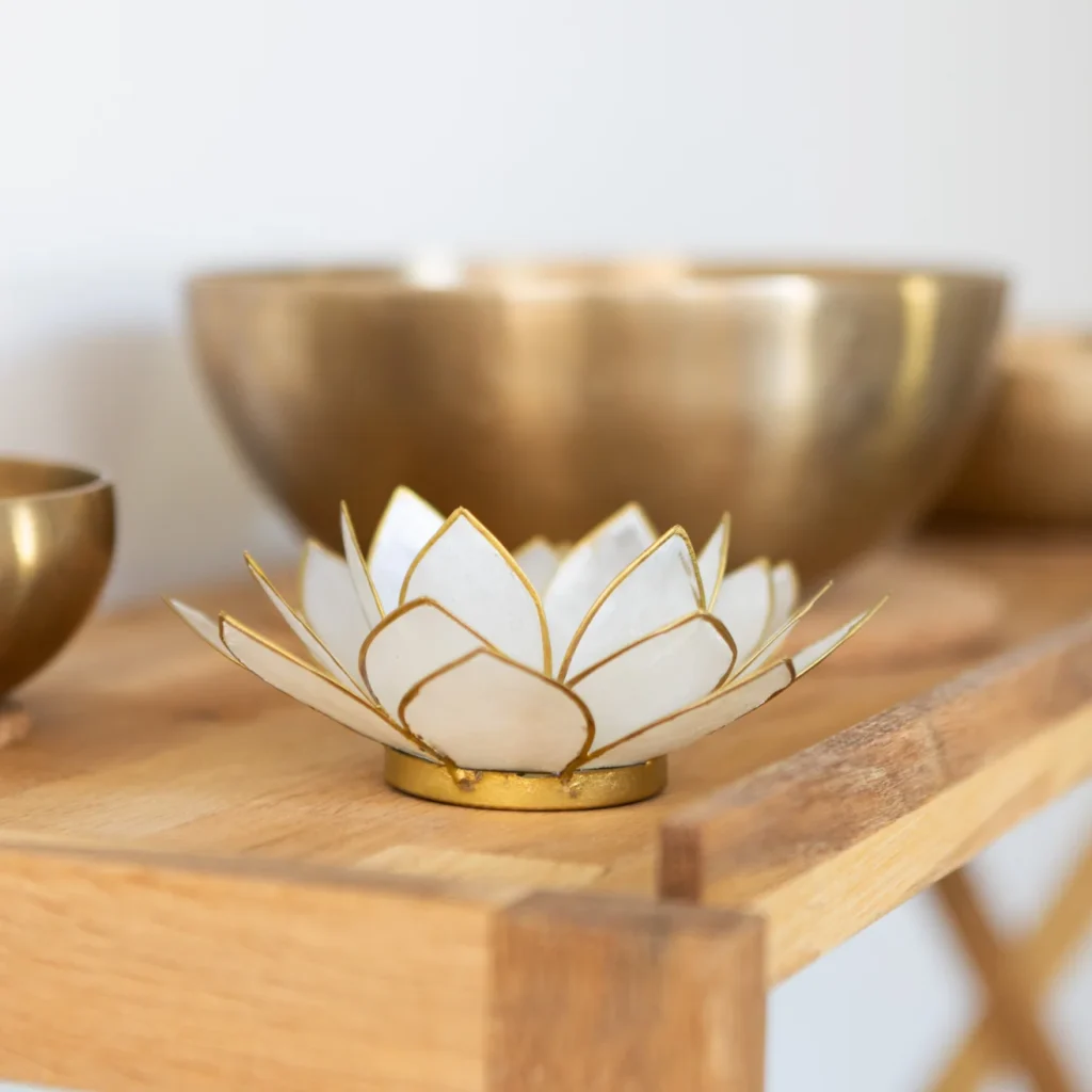 nordlicht-ergotheraphiepraxis-schalen